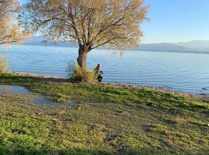 Apartment Holidays Pelion *